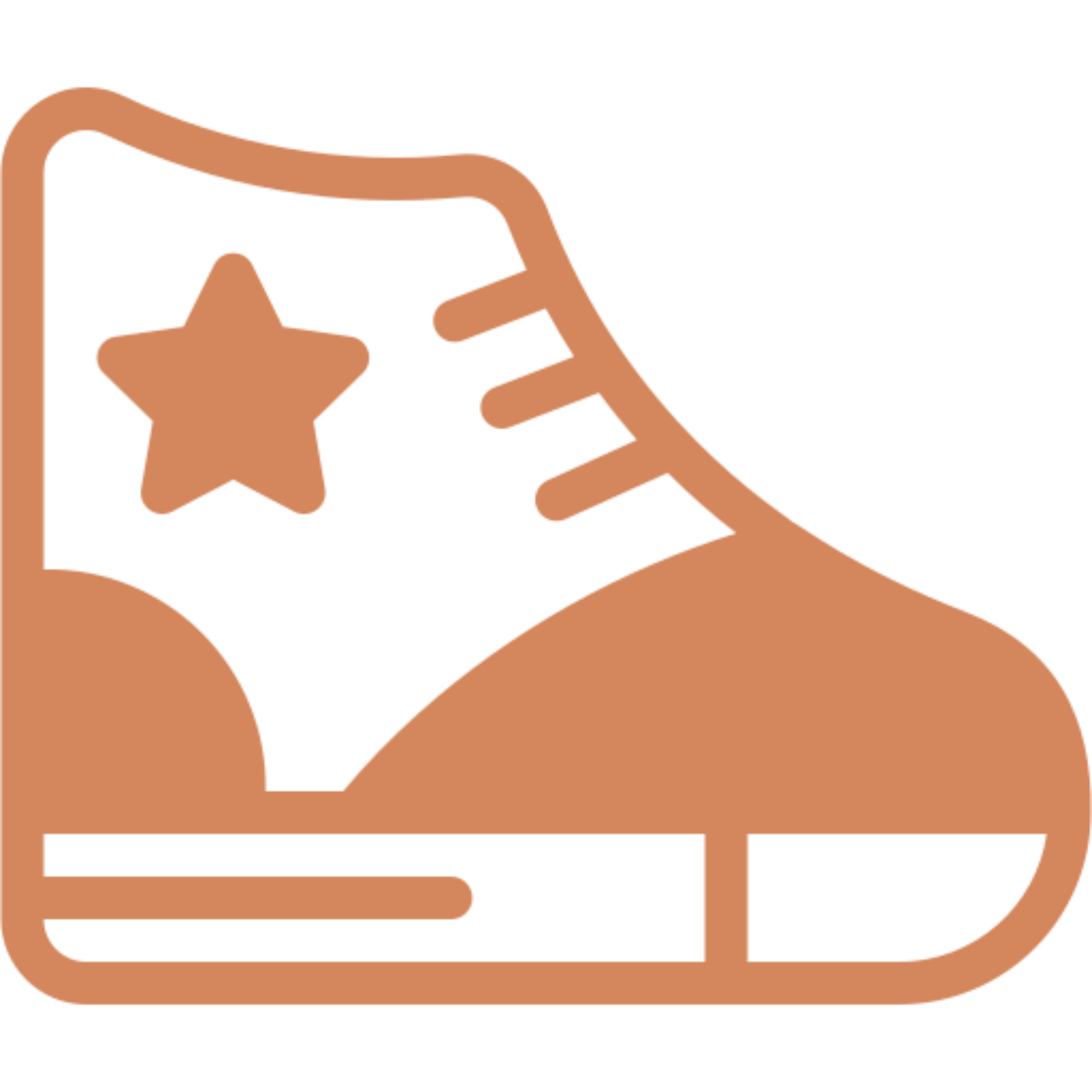 Brown sneaker graphic with star